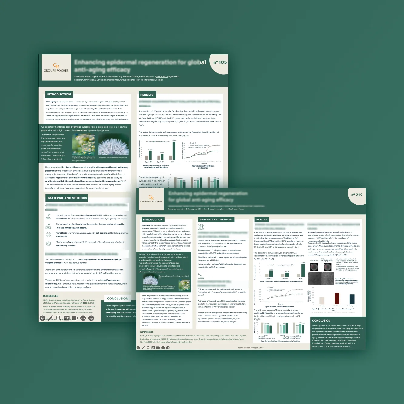 Poster scientifique - Rocher