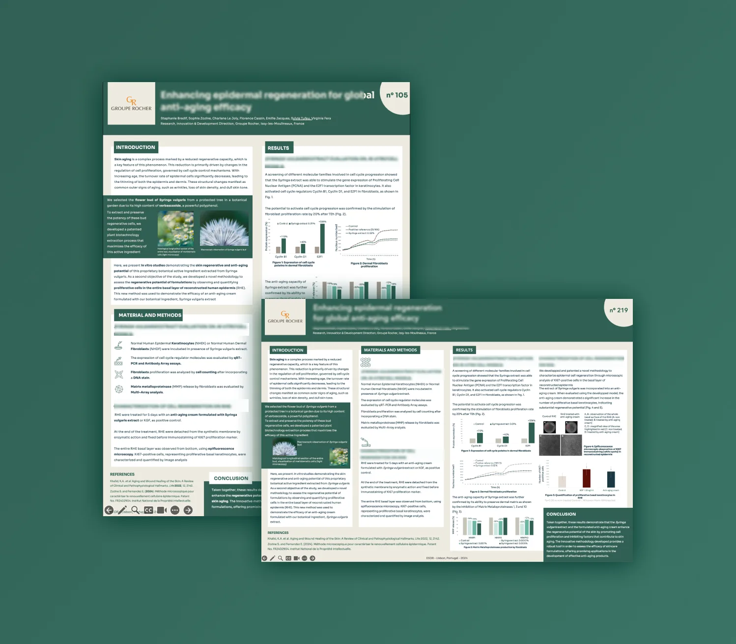 Templates Posters scientifiques groupe Rocher