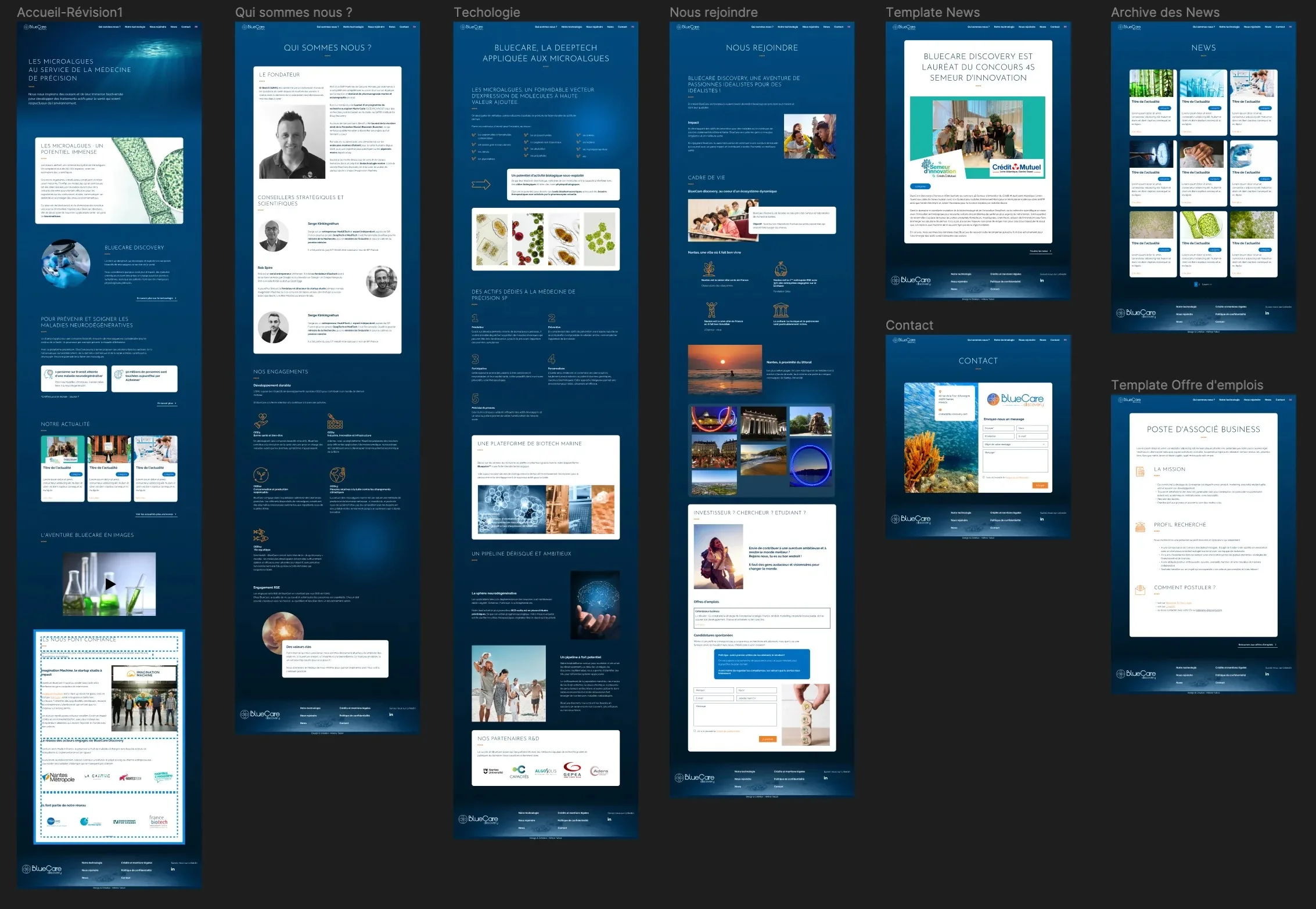 Maquette du site internet de Blue Care discovery