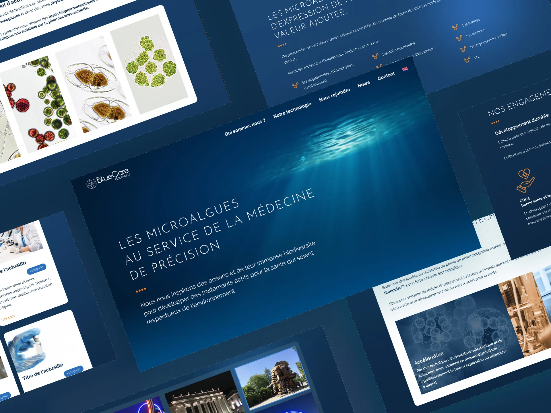 BlueCare-web-mockup-V3-left Site internet BlueCare Discovery – startup biotech
