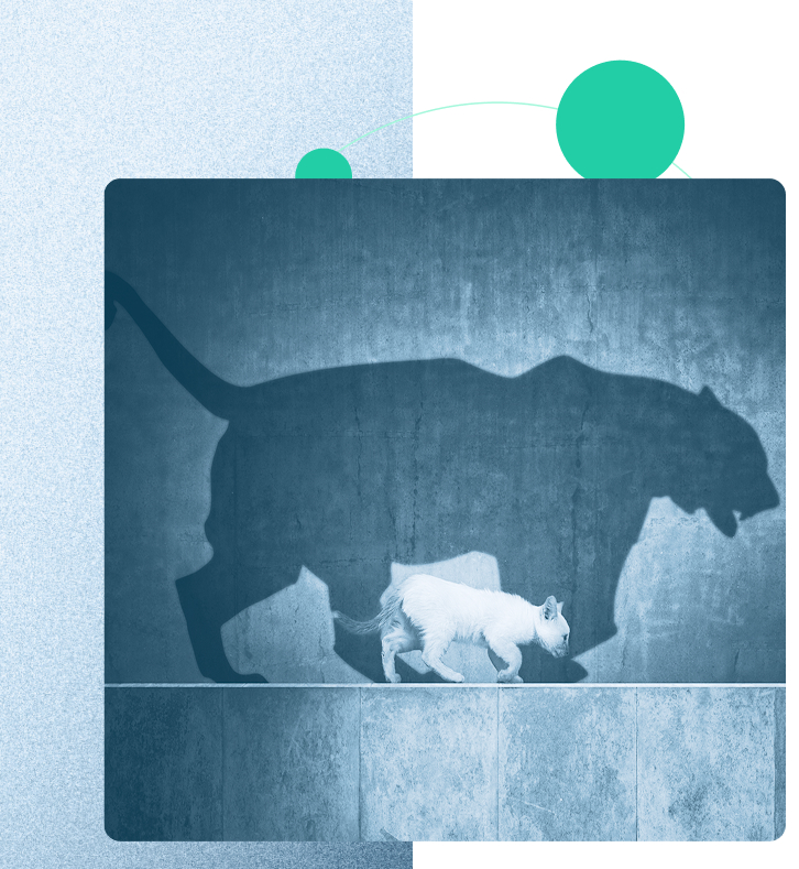 Votre-image Panthère ressemblant à un chaton