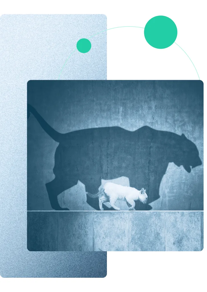 Panthère ressemblant à un chaton